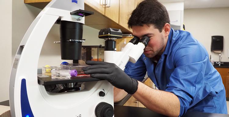 Student in Stokes School of Marine & Environmental Sciences department examines sample under microscope.